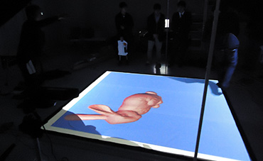 Projection Mapping